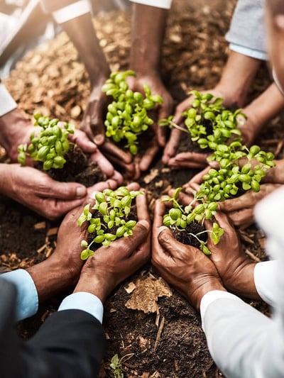 AdobeStock_604015176 1200x1600 optimized