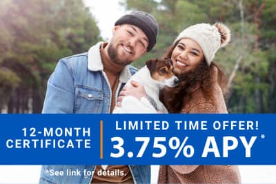 Hibernate your savings & watch it grow with a 12-month certificate at 3.75% APY - limited time offer!