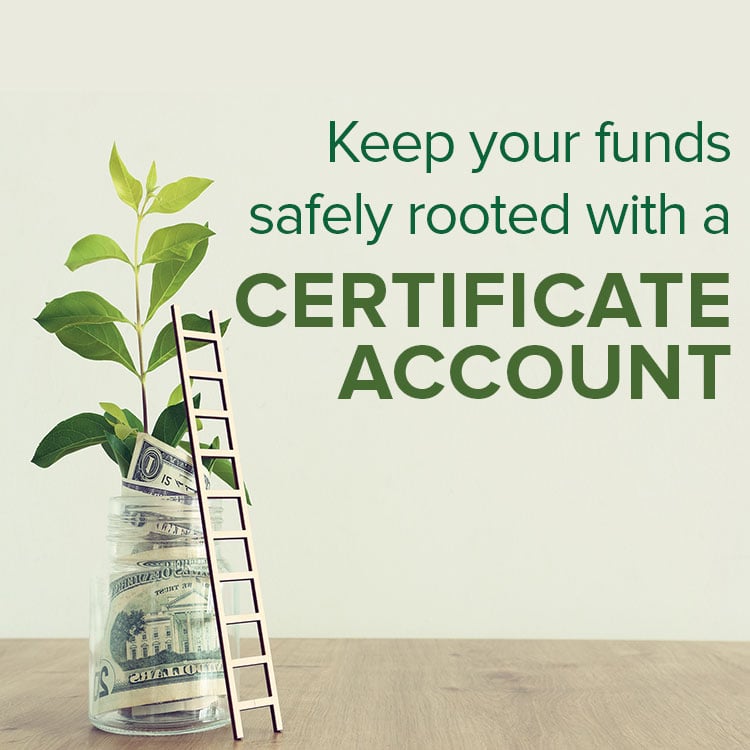 Keep-your-funds-safely-rooted-in-a-certificate-account-image