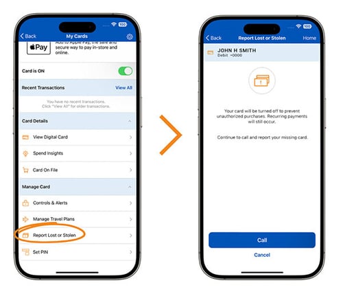 Report Lost or Stolen