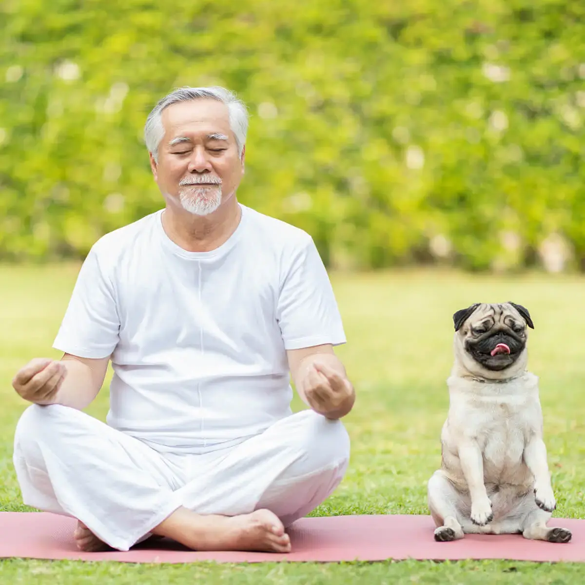Person sitting outdoors on a yoga mat beside a dog, illustrating peace of mind with WEOKIE overdraft options