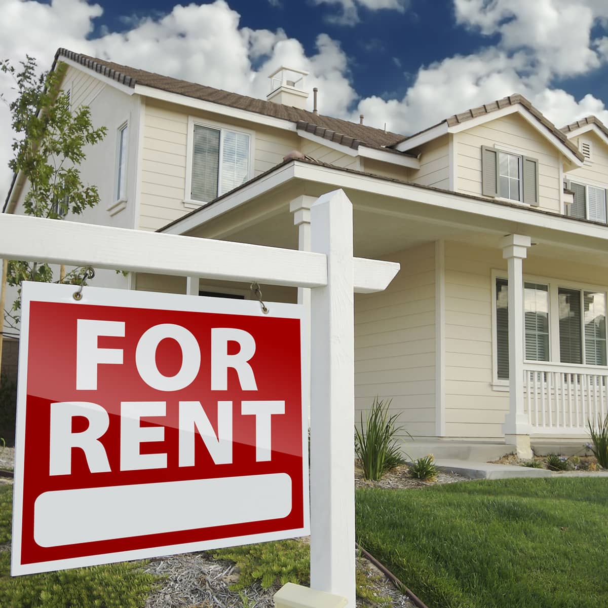 AdobeStock_30691356 1200x1200 optimized