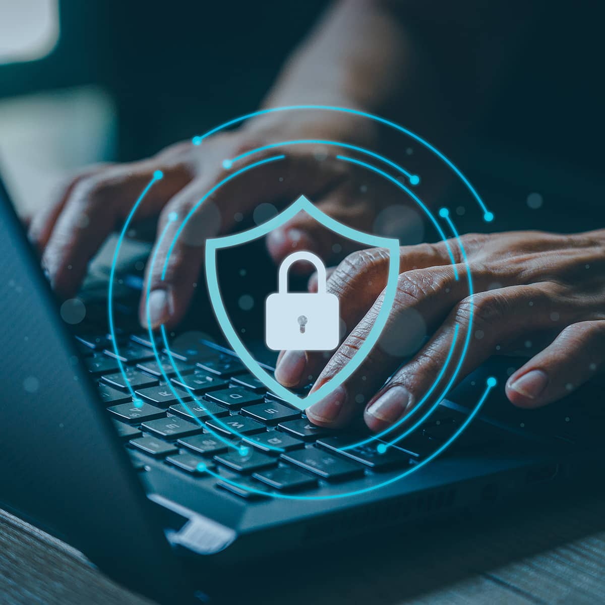 AdobeStock_485813512 1200x1200 optimized