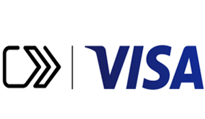 Visa Checkout Logo